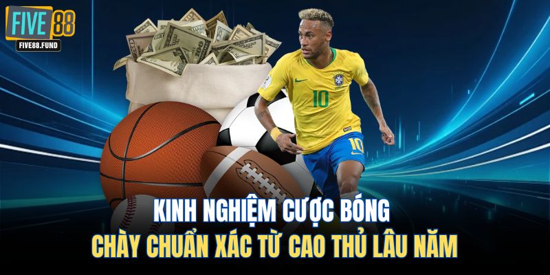 Kinh nghiệm cược bóng chày chuẩn xác từ cao thủ lâu năm