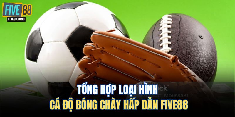 Tổng hợp loại hình cá độ bóng chày hấp dẫn Five88